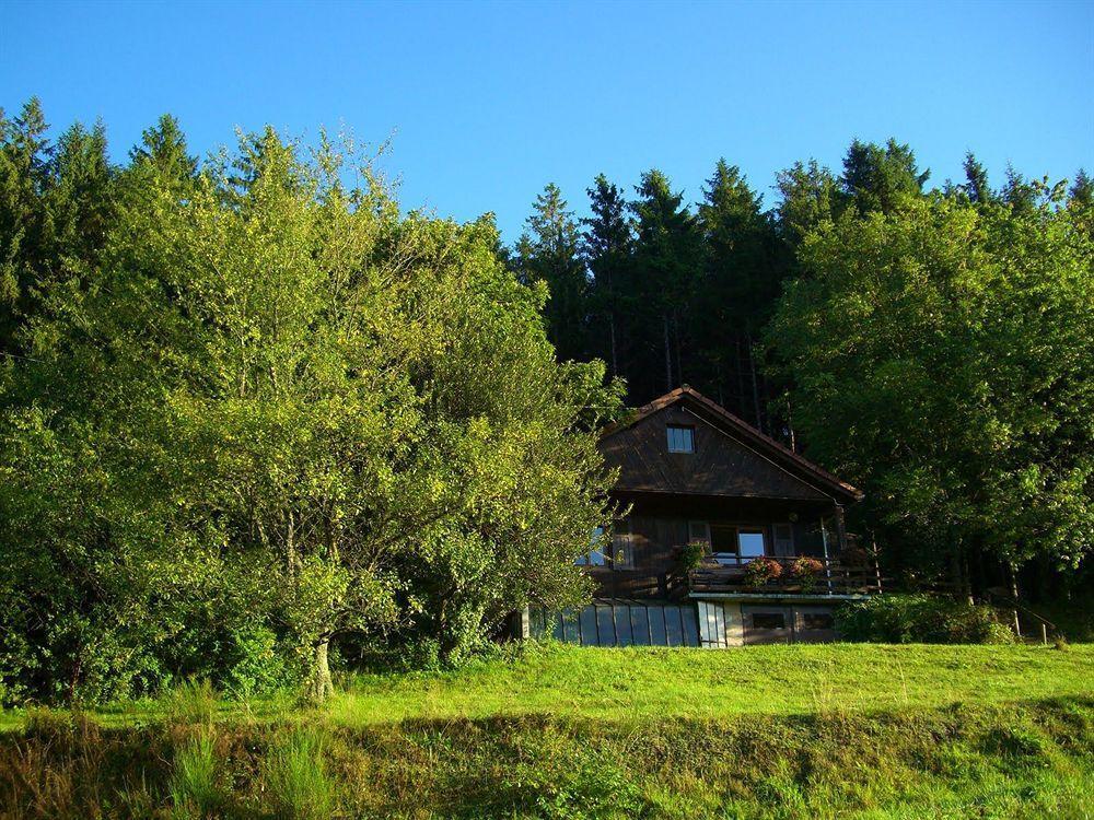 Hôtel Restaurant La Vigotte Girmont-Val-d'Ajol Extérieur photo