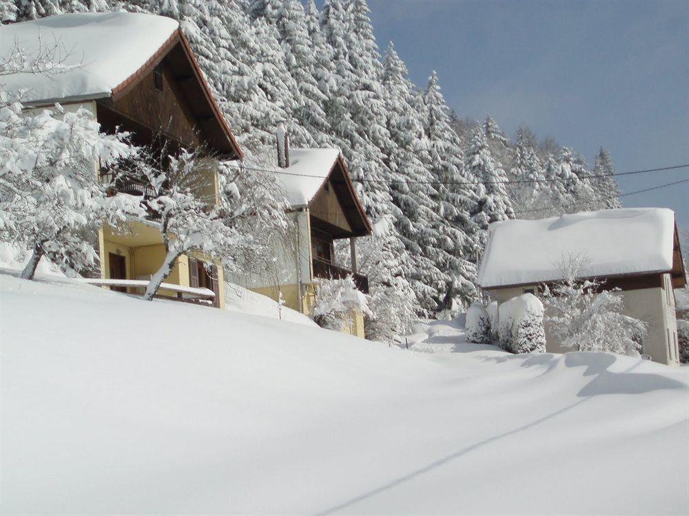 Hôtel Restaurant La Vigotte Girmont-Val-d'Ajol Extérieur photo