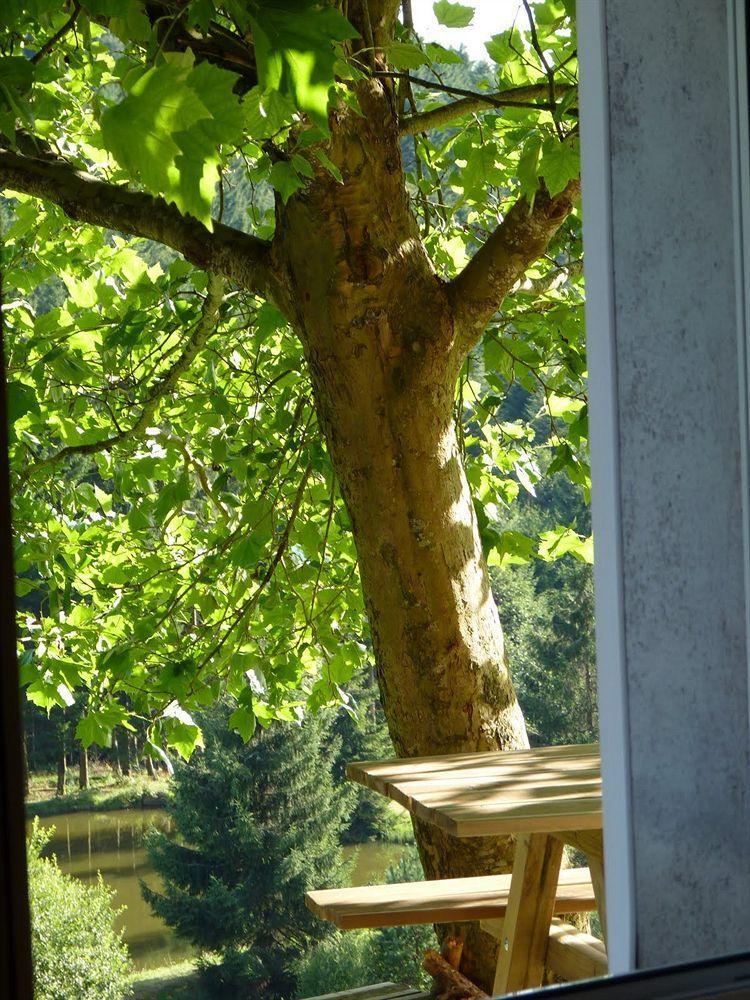 Hôtel Restaurant La Vigotte Girmont-Val-d'Ajol Extérieur photo